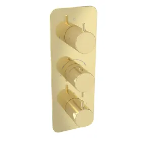 Saneux EDEN 3 way handles &amp; plate finish kit in portrait (for ED021.BB) - Brushed Brass (PVD)