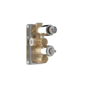 Saneux Thermostatic valve body with 1 outlet & 2 holes - Brass