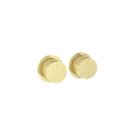 Saneux COS 2 Way Thermostatic Shower Ring Valve Kit - w/ Fluted Handle - Landscape - Brushed Brass