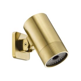 Just Taps Vos Brushed Brass Lumen Shower Head