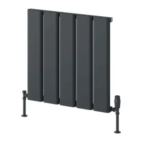 Reina Caldaro Horizontal Aluminium Radiator