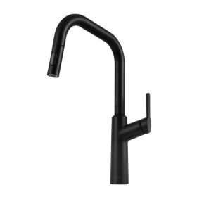 Clearwater Santor Kitchen mixer Tap with Pull-out spray Matt Black