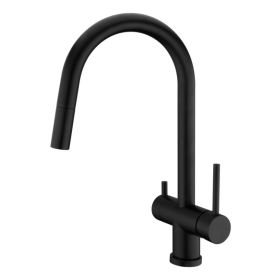 Clearwater Toledo Kitchen mixer Filter Tap with Pull Out spray Matt Black
