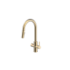 Wash Water OptiH2O Reverse Osmosis Boiling Unit, 4in1 Pull Out Tap - Brushed Gold