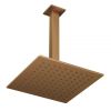 Abacus Square head and Ceiling Arm - Brushed Bronze