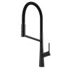 Clearwater Alasia Semi Pro Kitchen mixer Tap Matt Black