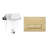 Crosswater Belgravia Cistern Set 1 Brushed Brass