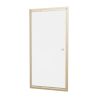 Crosswater Clear 6 Pivot Door with Side Panel Brushed Brass