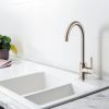 Clearwater Ember Side Lever Kitchen mixer Tap Brushed Nickel