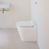 GSI Kube X 55 Back to Wall Swirlflush WC & Seat White