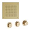 Crosswater Module Plus Shower Set 5 Brushed Brass