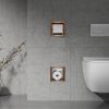 Bath Style Recessed Toilet Roll Holder & Storage Brushed Bronze