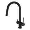 Clearwater Toledo Kitchen mixer Filter Tap with Pull Out spray Matt Black