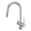 Clearwater Toledo Kitchen mixer Filter Tap with Pull Out spray Brushed Nickel