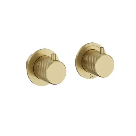 Crosswater Module 3ONE6 2 Outlet 2 Handle Shower Valve Stainless Brushed Brass