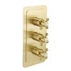 Just Taps Grosvenor Cross Thermostatic 2 Outlet Shower Valve Brushed Brass