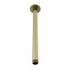 Eastbrook Meriden 300mm Ceiling Mounted Shower Arm - Brushed Brass