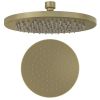 Eastbrook Meriden 10" (250mm) Round Easy Clean Shower Head - Brushed Brass