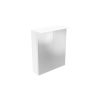 Saneux AUSTEN 60cm 2 door electric mirror cabinet - Gloss White