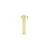 Saneux COS 100mm round ceiling mounted shower arm - Brushed Brass