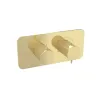 Saneux EDEN 1 way handles & plate finish kit in landscape (for ED019L.BB) - Brushed Brass (PVD)