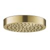 Just Taps Evo Shower head Brushed Brass