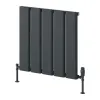 Reina Caldaro Horizontal Aluminium Radiator