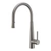 Clearwater Porrima Single Lever Kitchen mixer Tap with Pull-out spray Brushed Nickel