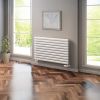 Reina Nevah Mild Steel Radiator