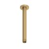 Abacus Emotion Round Fixed Ceiling Arm 250mm Brushed Brass Effect