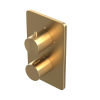 Abacus EZ Box 2.0 Finish Set 1 Outlet Brushed Brass Round Handles