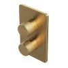 Abacus EZ Box 2.0 Finish Set 1 Outlet Brushed Brass ISO PRO Handles