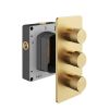 Abacus EZ Box 3.0 Thermostatic Shower Valve 3 Way Brushed Brass ISO PRO Handles