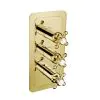 Just Taps Grosvenor Cross Concealed Thermostatic Shower Valve 2 Outlet Vertical – Polished Gold