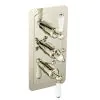 Just Taps Grosvenor Lever Vertical Thermostatic 2-Outlets Concealed Shower Valve-Triple Handle-Nickel