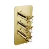 Just Taps Grosvenor Pinch Thermostatic Concealed 2 Outlet Shower Valve Vertical – Polished Gold