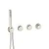Crosswater Module MPRO Push 2 Outlet Trimset with Handset Brushed Nickel (PROMODPUSH2701RV)