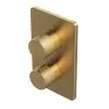 Abacus EZ Box 2.0 Finish Set 1 Outlet Brushed Brass ISO PRO Handles