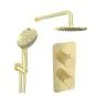 Saneux EDEN 2 way shower kit - w/ 3 Function Handset & Shower Head - Brushed Brass