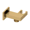 Abacus Emotion Square Wall Outlet & Holder Brushed Brass